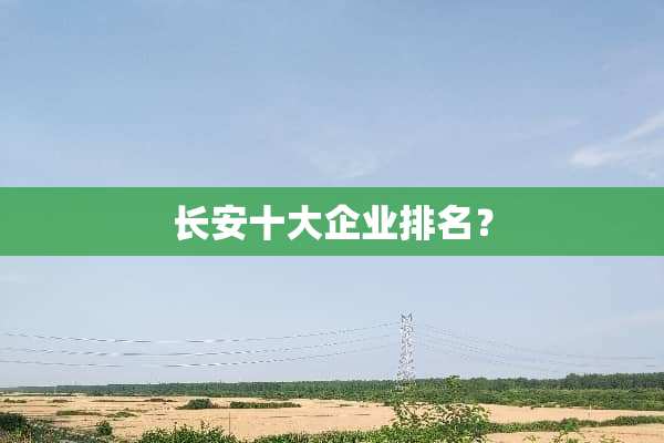 长安十大企业排名？