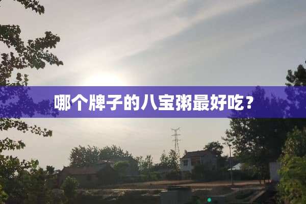 哪个牌子的八宝粥最好吃？