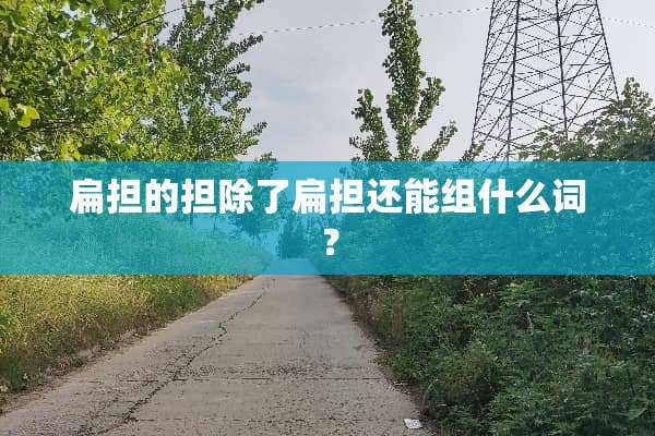 扁担的担除了扁担还能组什么词？