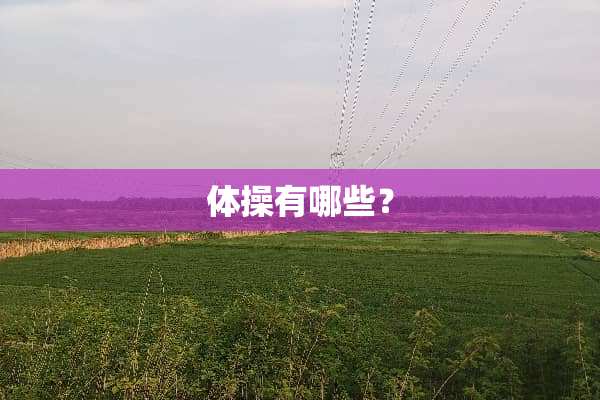 体操有哪些？