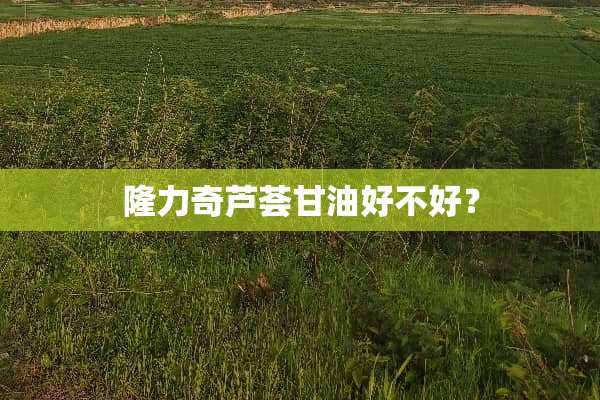 隆力奇芦荟**好不好？