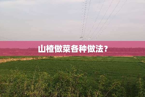山楂做菜各种做法？