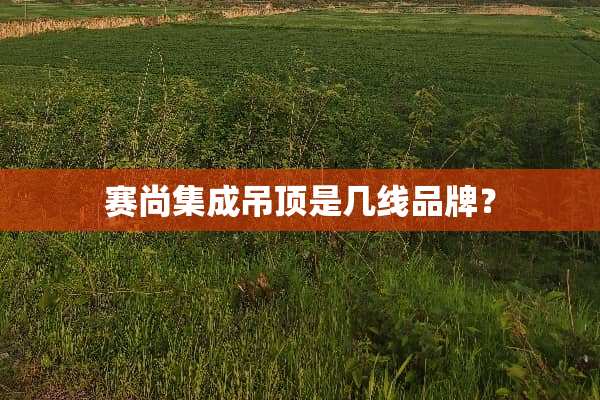 赛尚集成吊顶是几线品牌？