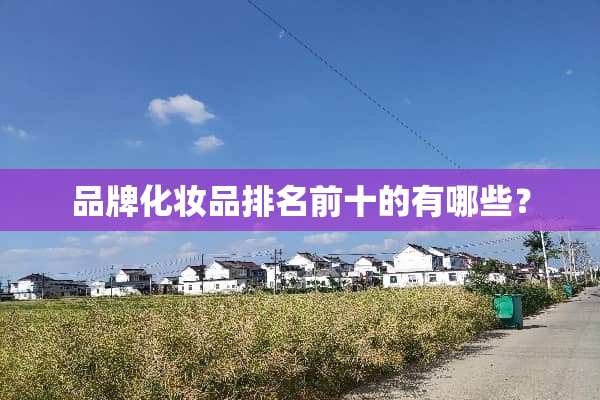 品牌化妆品排名前十的有哪些？