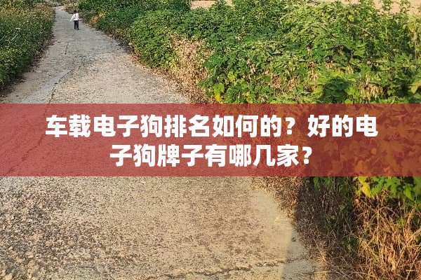 车载***排名如何的？好的***牌子有哪几家？