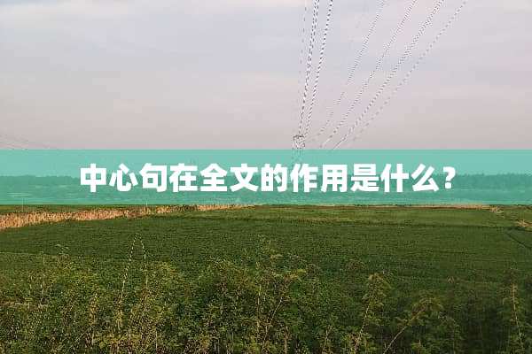 中心句在全文的作用是什么？