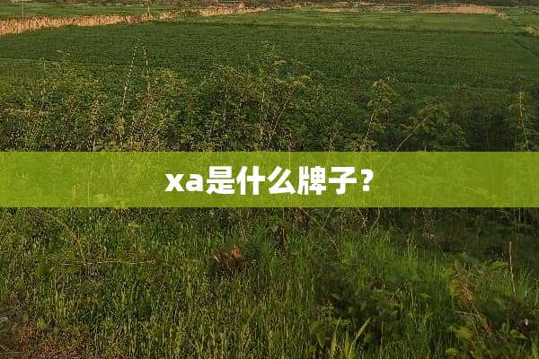 xa是什么牌子？