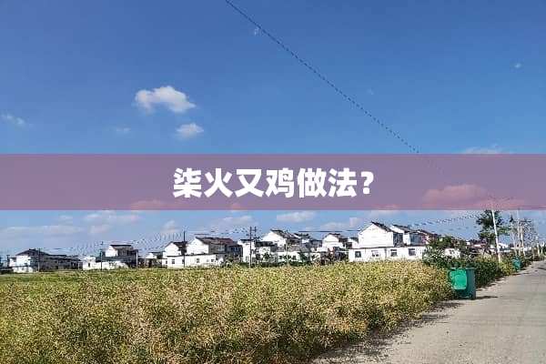柒火又鸡做法？