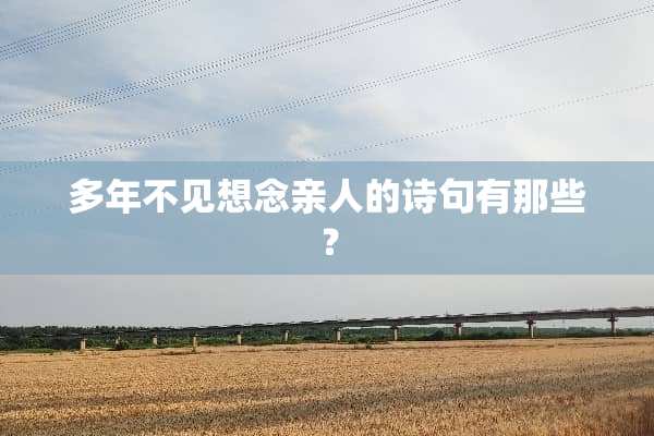 多年不见想念亲人的诗句有那些？