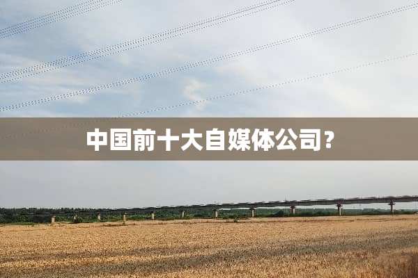 中国前十大自媒体公司？