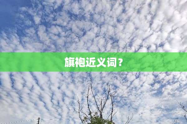 旗袍近义词？
