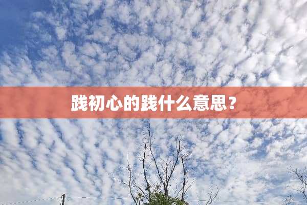 践初心的践什么意思？