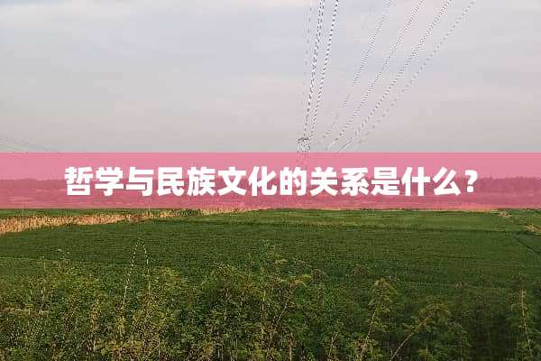 哲学与民族文化的关系是什么？
