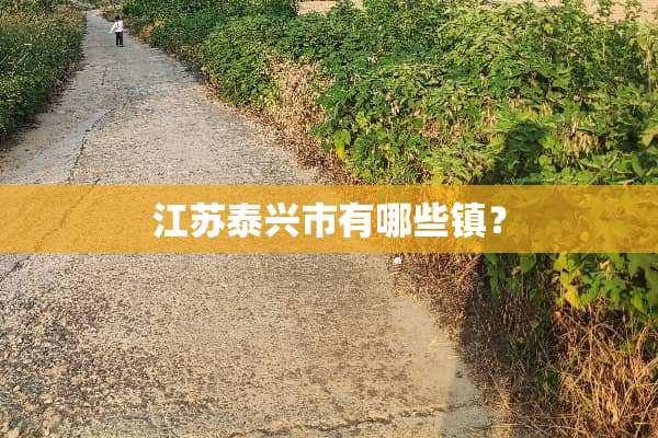 江苏泰兴市有哪些镇？
