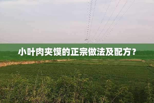 小叶肉夹馍的正宗做法及配方？