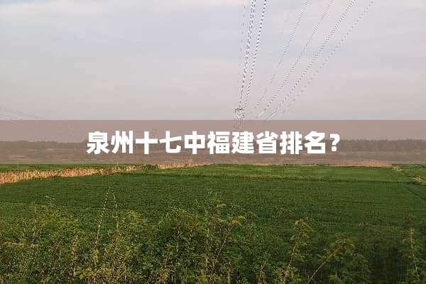 泉州十七中福建省排名？