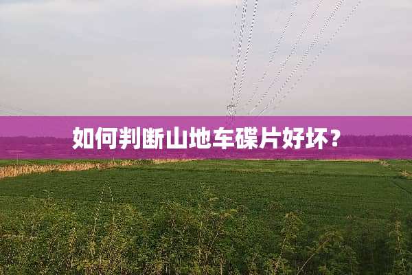 如何判断山地车碟片好坏？