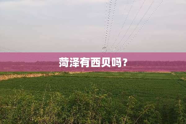 菏泽有西贝吗？