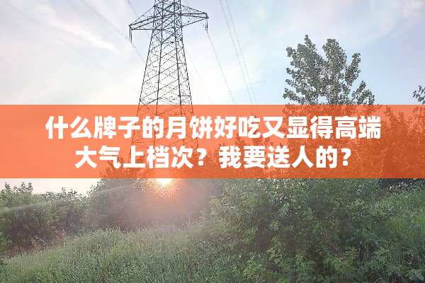 什么牌子的月饼好吃又显得高端大气上档次？我要送人的？