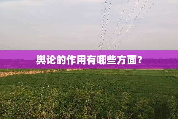 **的作用有哪些方面？