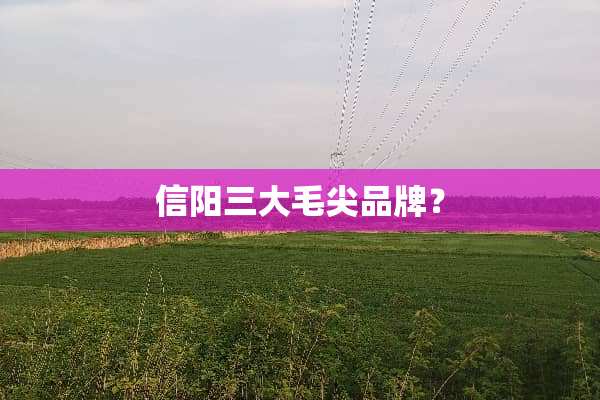 信阳三大毛尖品牌？