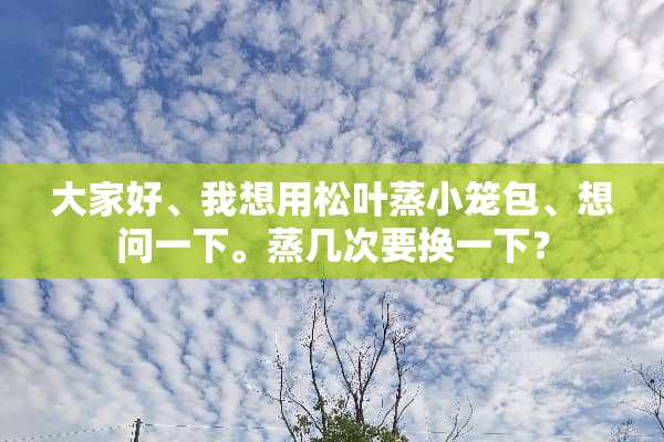 大家好、我想用松叶蒸小笼包、想问一下。蒸几次要换一下？