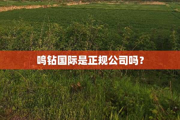鸣钻国际是正规公司吗？