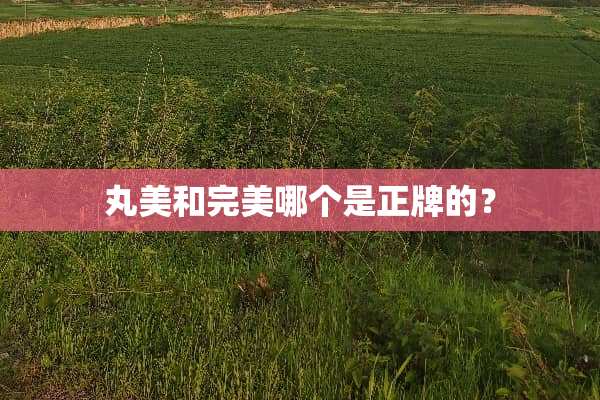 丸美和完美哪个是正牌的？