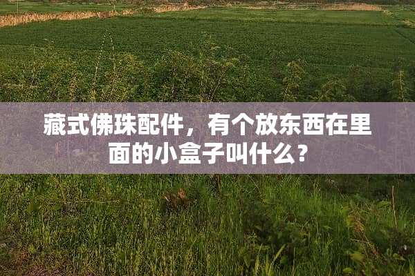 藏式佛珠配件，有个放东西在里面的小盒子叫什么？