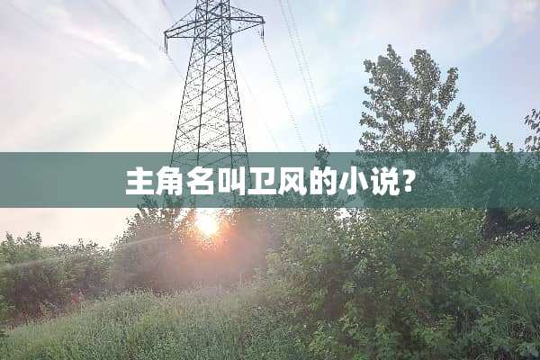 主角名叫卫风的小说？