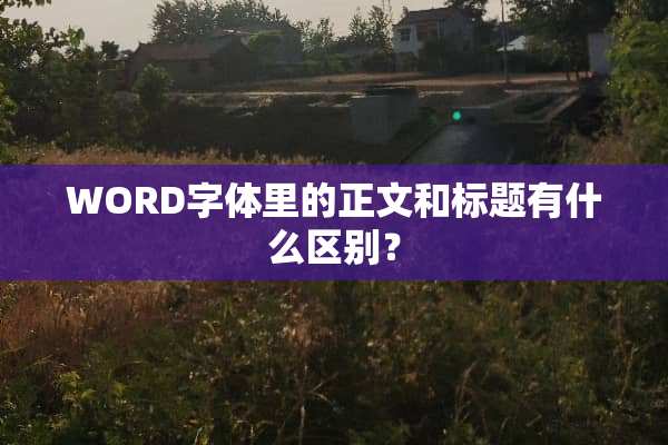 WORD字体里的正文和标题有什么区别？