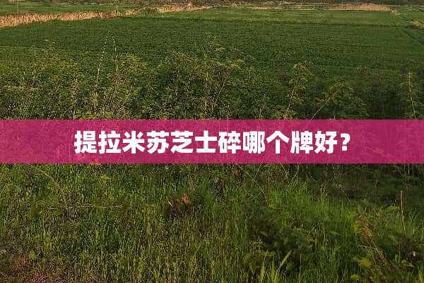 提拉米苏芝士碎哪个牌好？