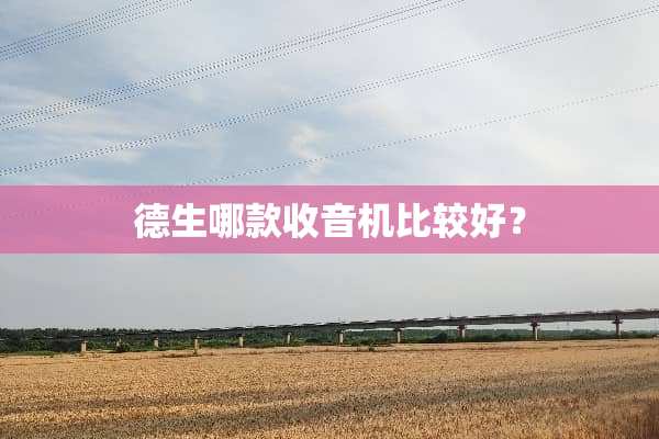 德生哪款收音机比较好？