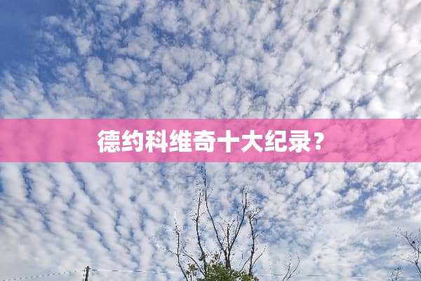 德约科维奇十**录？