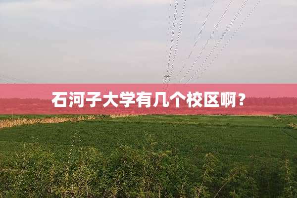 石河子大学有几个校区啊？