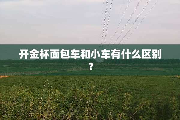 开金杯面包车和小车有什么区别？