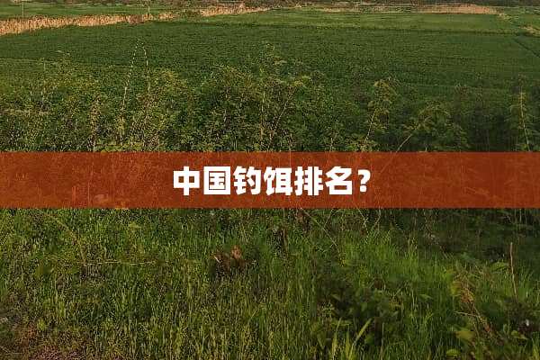 中国钓饵排名？