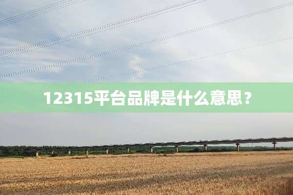 12315平台品牌是什么意思？