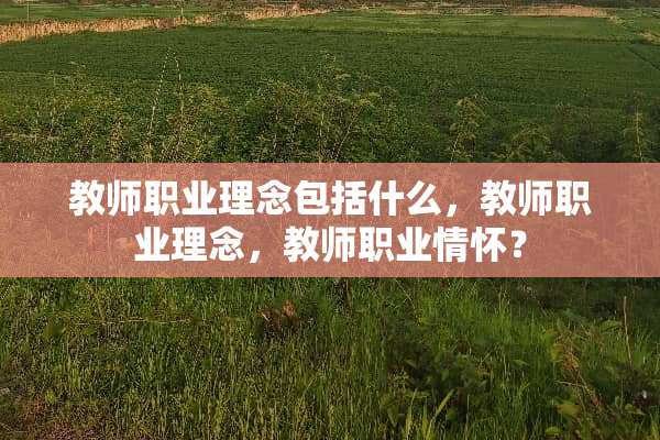 教师职业理念包括什么，教师职业理念，教师职业情怀？
