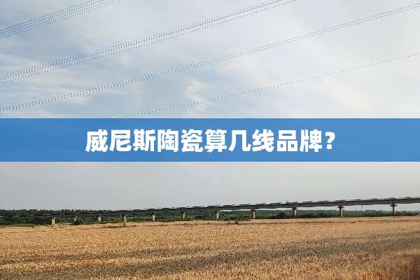 威尼斯陶瓷算几线品牌？