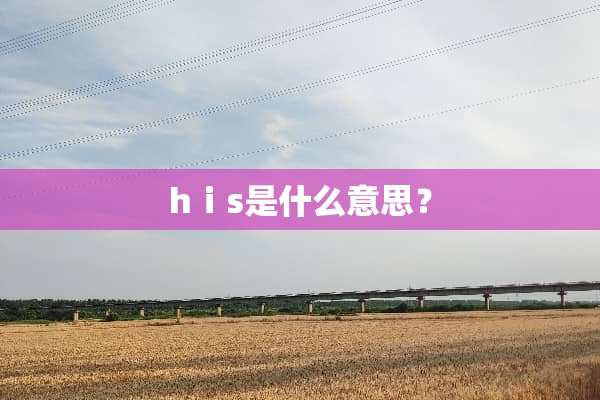 hⅰs是什么意思？