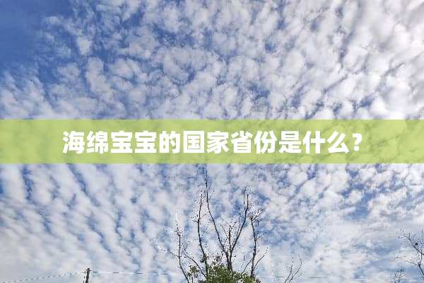 海绵宝宝的国家省份是什么？
