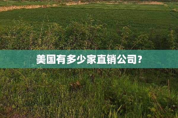 美国有多少家直销公司？