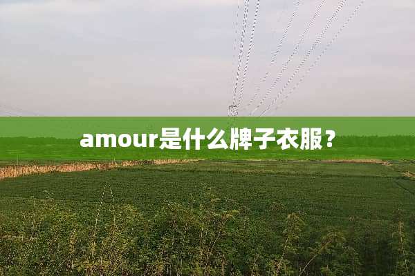 amour是什么牌子衣服？