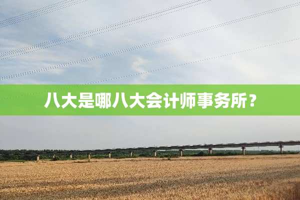 八大是哪八大会计师事务所？