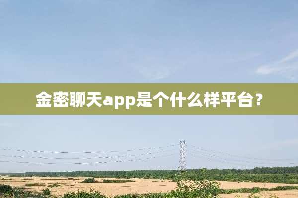 金密聊天app是个什么样平台？