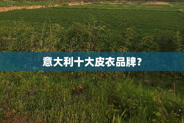 意大利十大皮衣品牌？