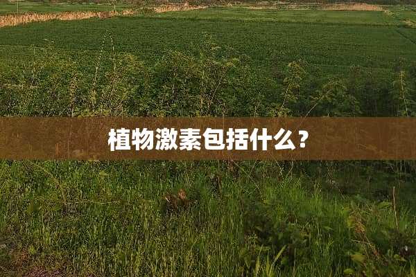 植物激素包括什么？