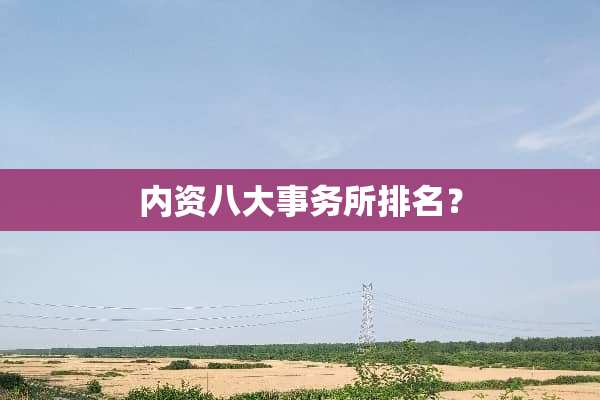 内资八大事务所排名？