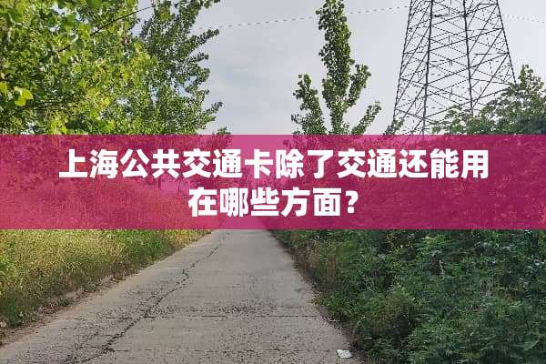 上海公共交通卡除了交通还能用在哪些方面？